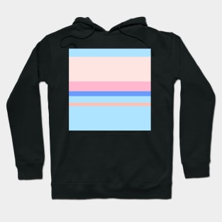 A lovely shape of Powder Blue, Cornflower Blue, Baby Pink, Misty Rose and Pale Rose stripes. Hoodie